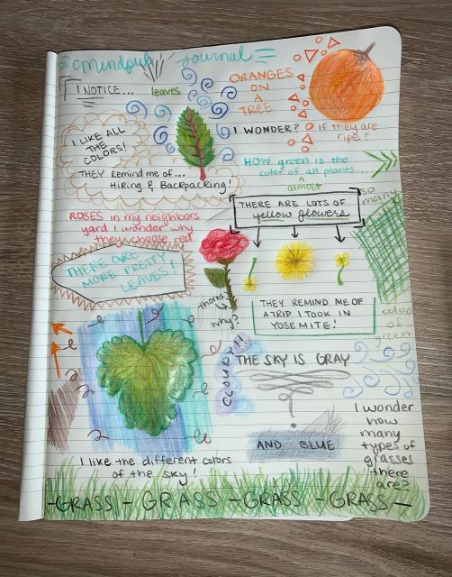 Nature Journal Entry