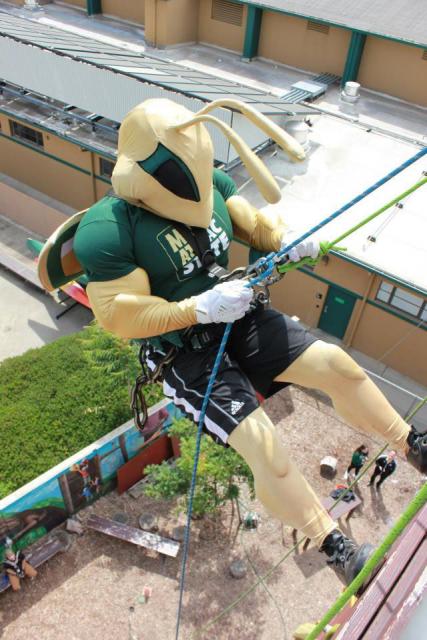 Mascot Herky on a rock climbing wall at the ropes course.