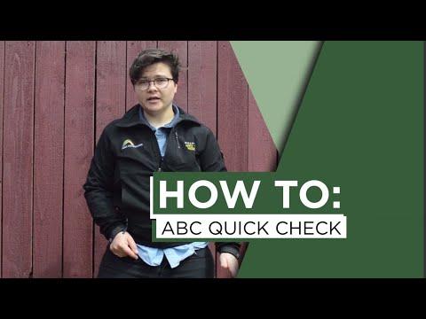 How to: ABC Quick Check