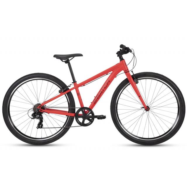 Rental bike
