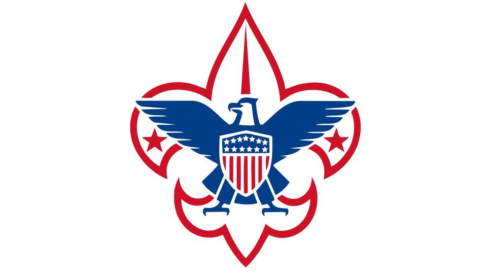 BSA logo