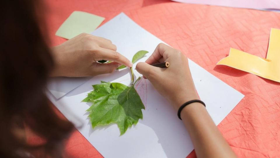 Nature craft tracing a leaf at summer camp