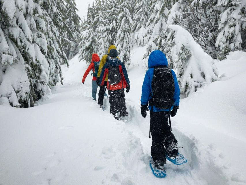 girl scouts from sacramento group snowshoeing in fresh snow